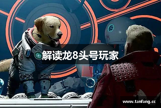 解读龙8头号玩家